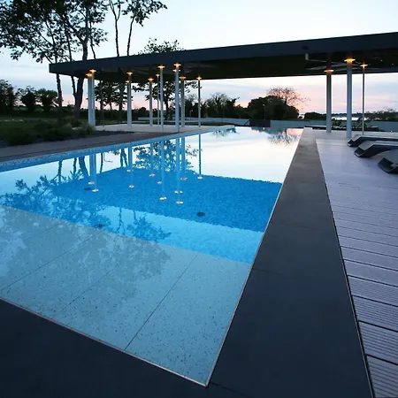 Calvia Crispinilla * Новиград