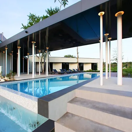 Calvia Crispinilla Новиград