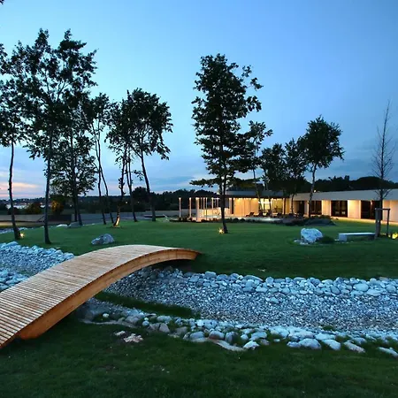 Calvia Crispinilla Novigrad (Istria)