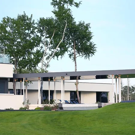 Calvia Crispinilla Novigrad (Istria)