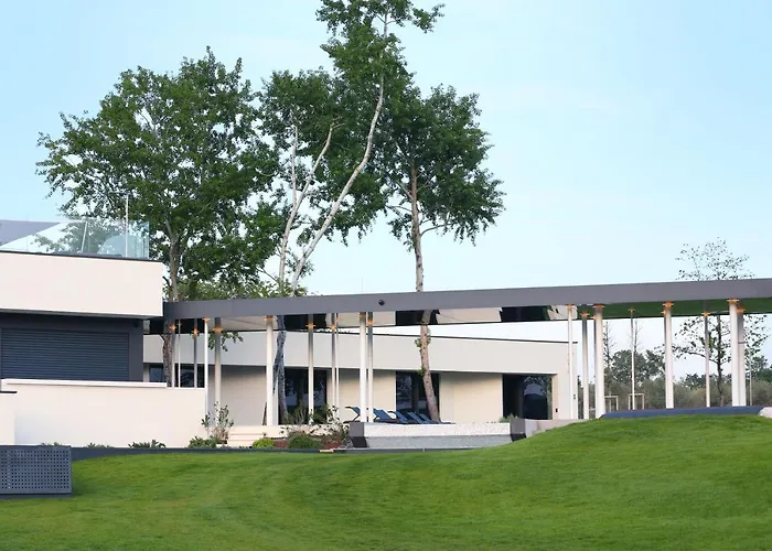 Calvia Crispinilla Novigrad (Istria)